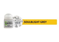 Citadel Paint: Shade - Soulblight Grey